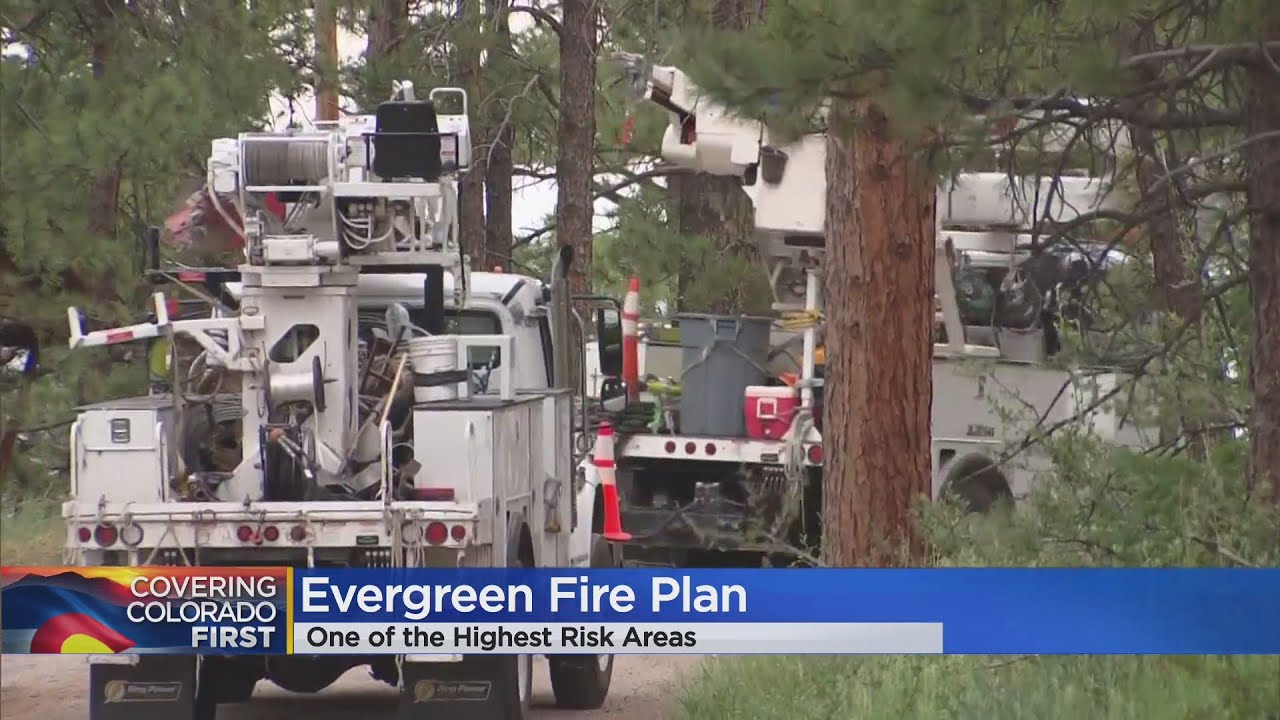 Evergreen area ranked as most at risk in wildfire