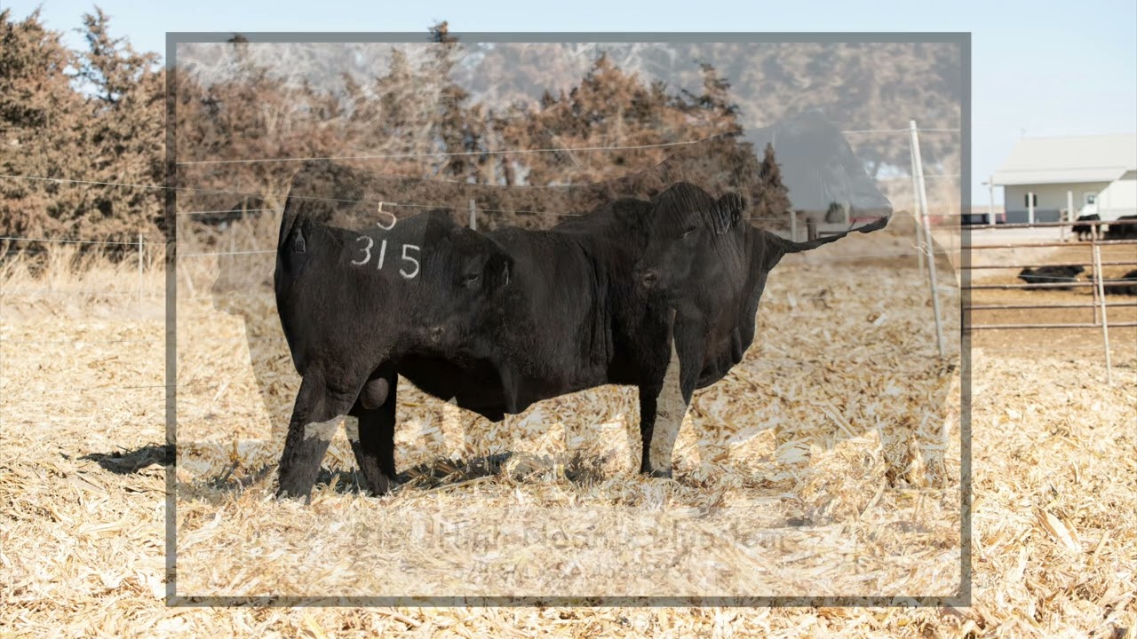 Powerline Genetics The March Edition | March 13, 2026