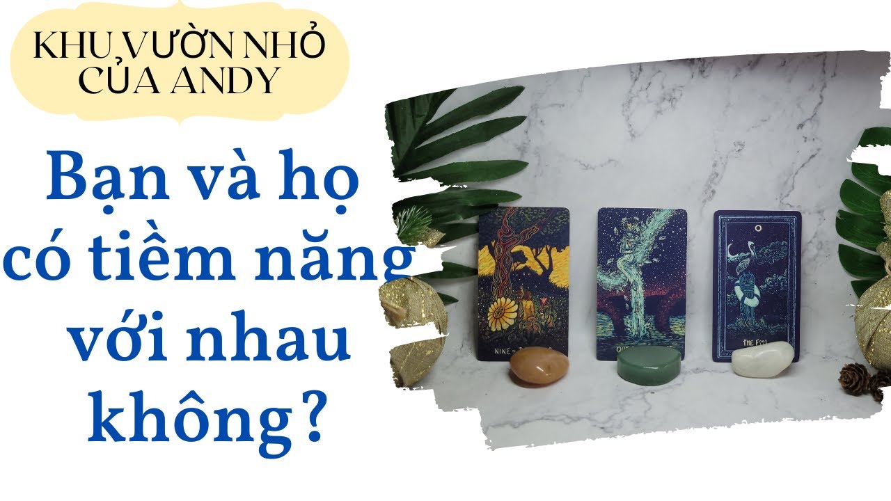 Chọn 1 tụ bài Tarot - Bạn và họ có tiềm năng với nhau không - Alo Andy