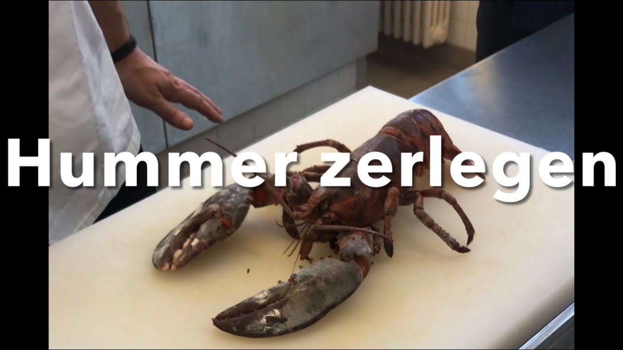 Hummer zerlegen