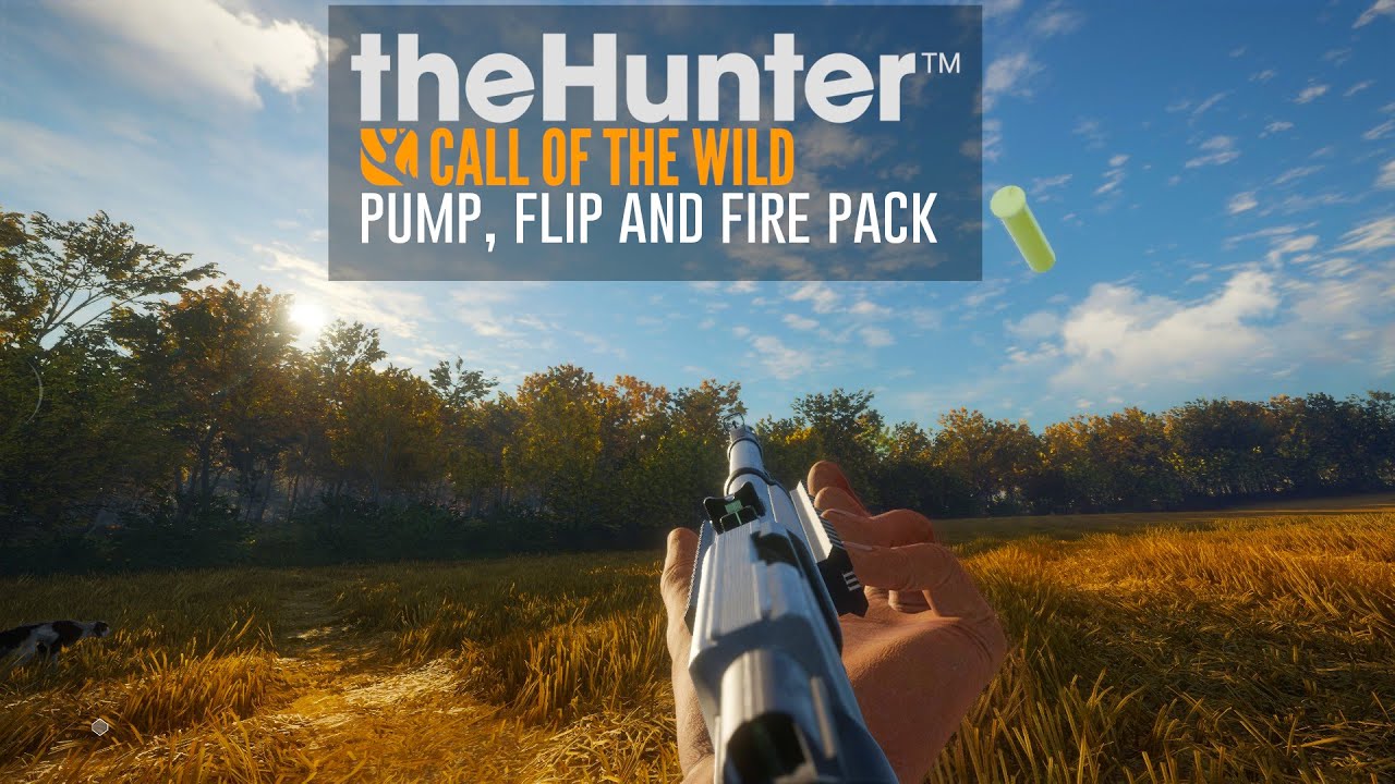 theHunter: Pum, Flip and Fire Pack - Test