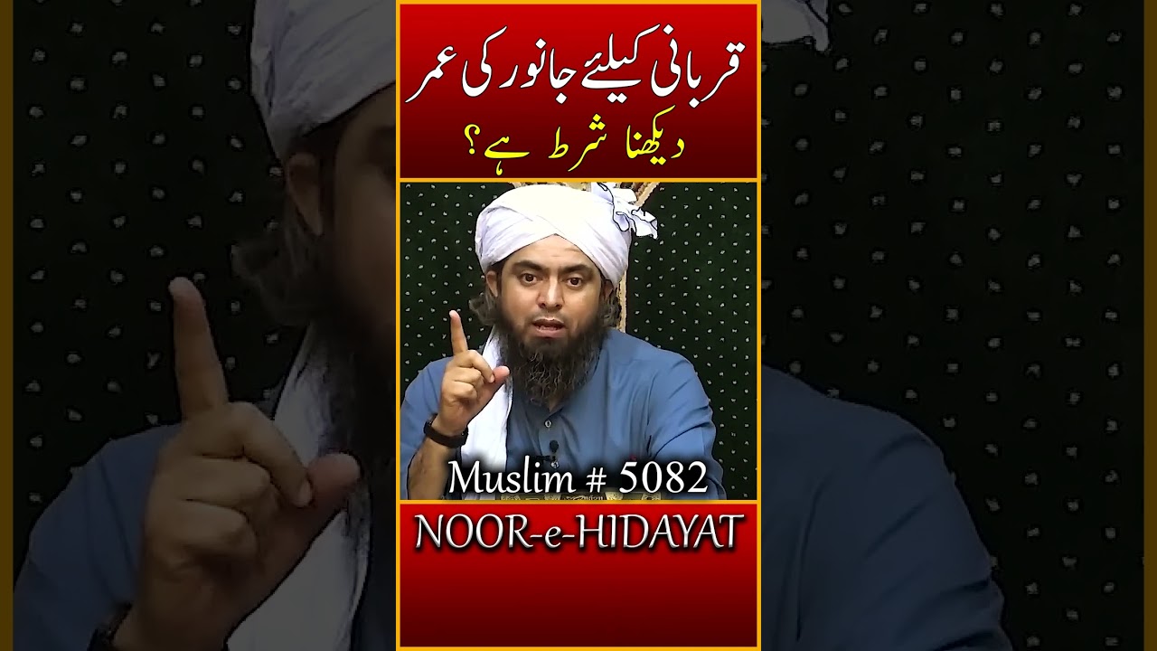 Qurbani keliye Janwar ki umar ? Engineer Muhammad Ali Mirza #shorts