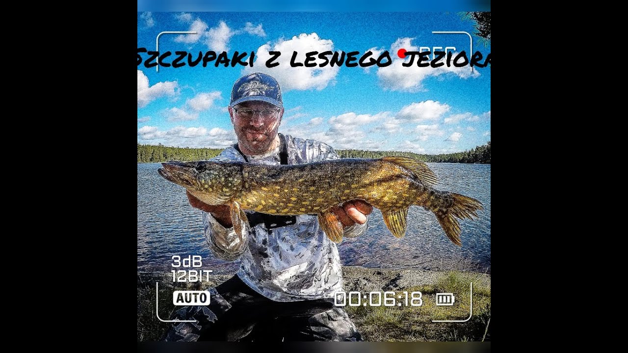 Szczupaki z leśnego jeziora - westin ricky the roach