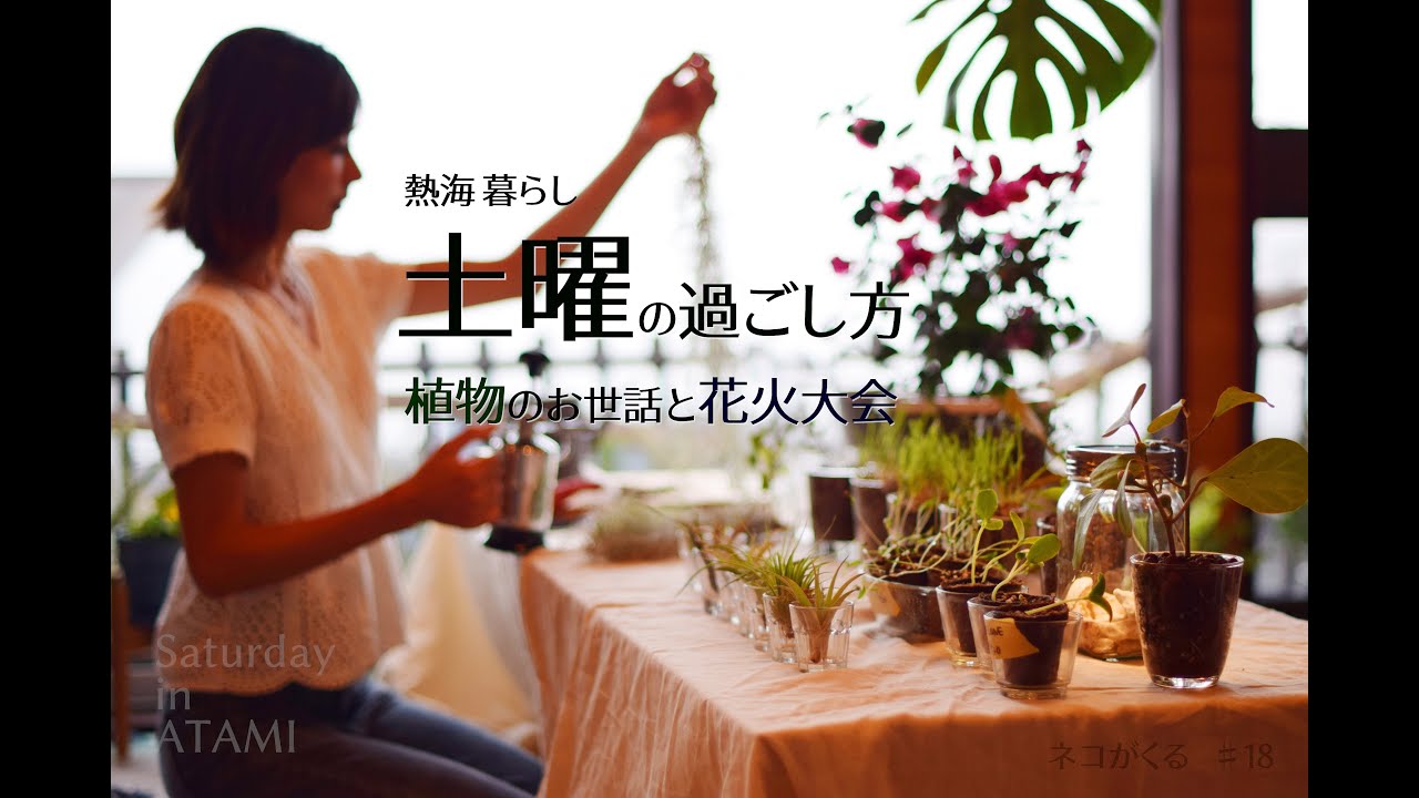 #18 植物と花火と猫　好きなことで心を満たす熱海の休日