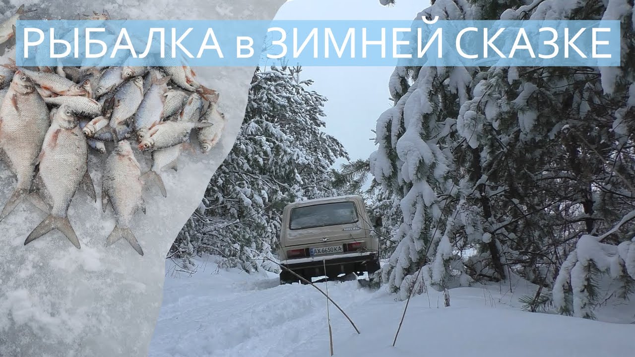 РЫБАЛКА в ЗИМНЕЙ СКАЗКЕ! / Печенеги