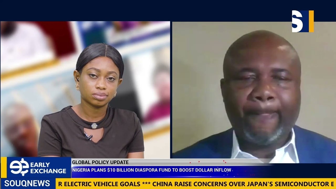 Nigeria Plans $10 Billion Diaspora Fund To Boost Dollar Inflow.