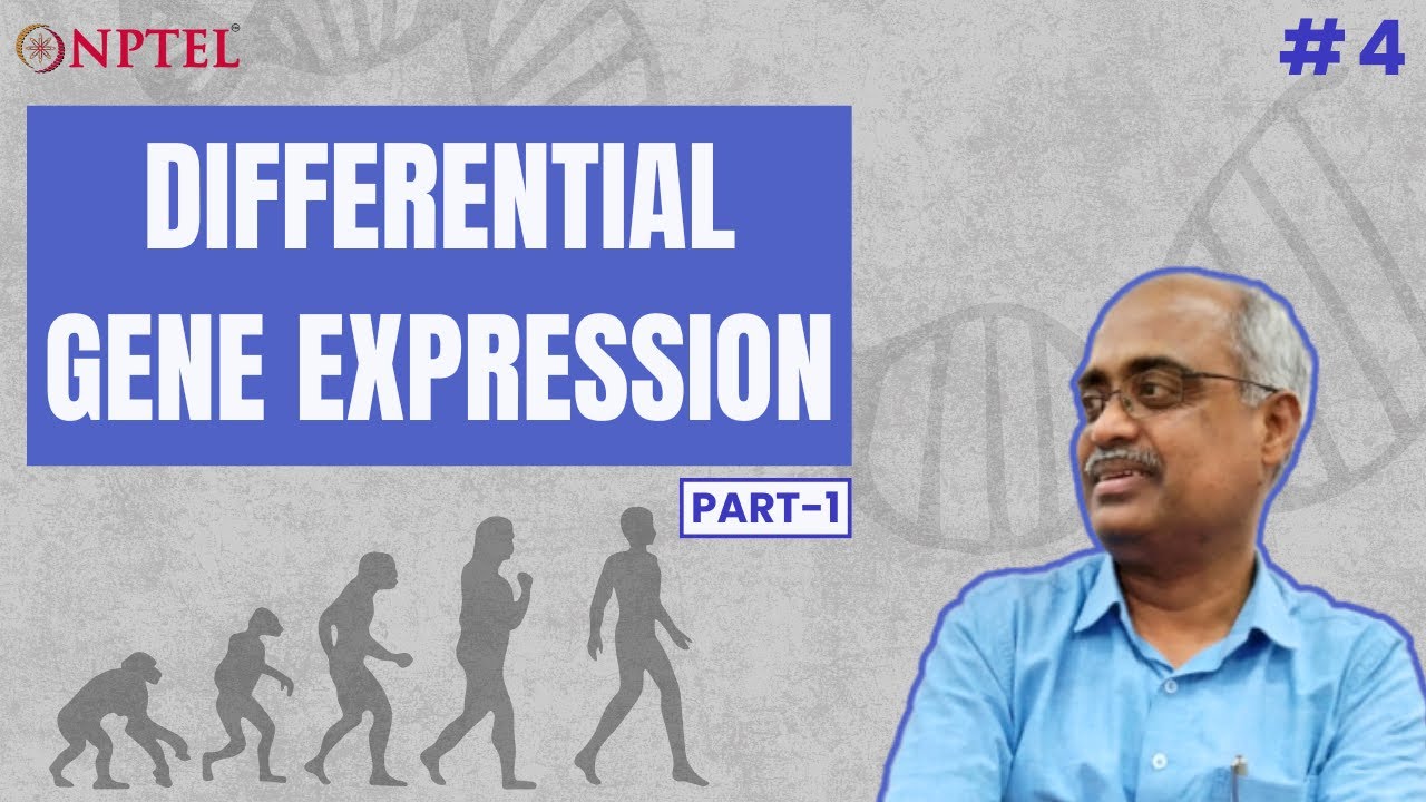 #4 Differential Gene Expression | Part 1 | Introduction to Developmental Biology