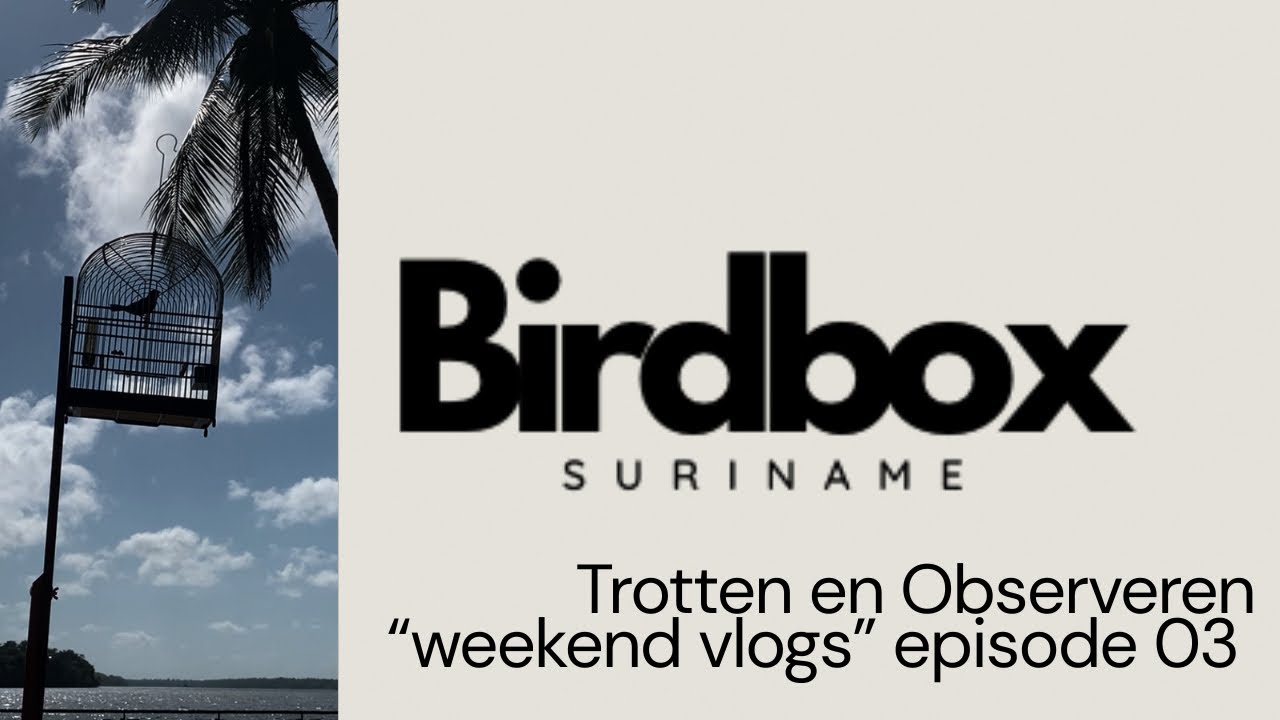 “Trotten en observeren” Taking my new bird to see competition for the 1st time | Weekend vlog (E03)