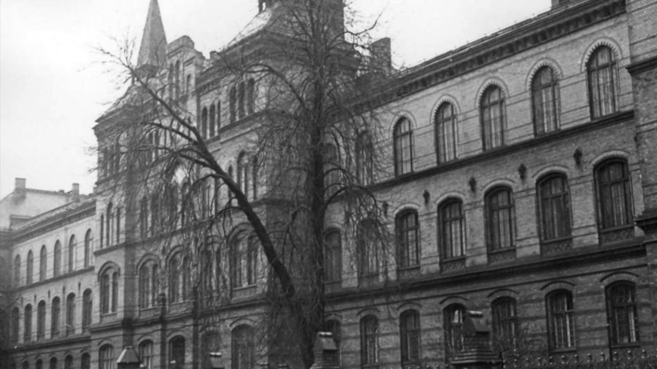 Odkrywamy Wrocław z Nadia Szagdaj - A jaka jest twoja historia