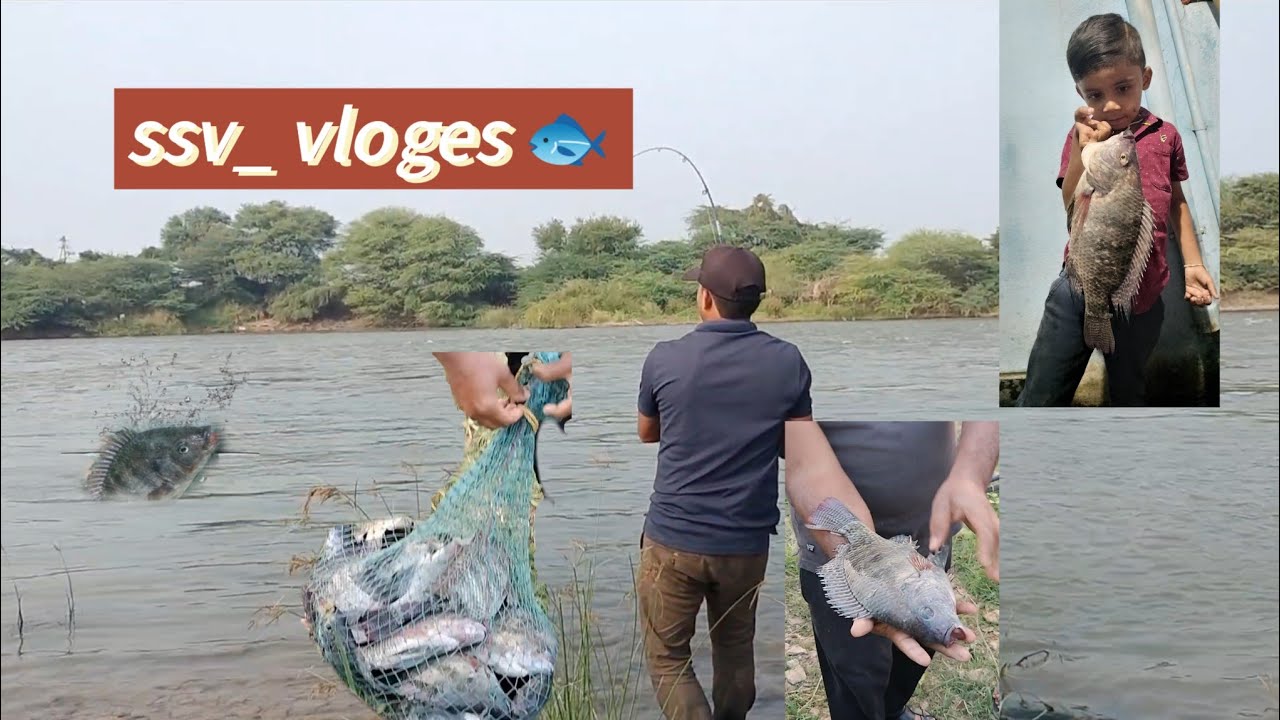 Hello friends అన్ని జిలేబి చాపలు పడ్డాయి video# ssv_vloges🐟