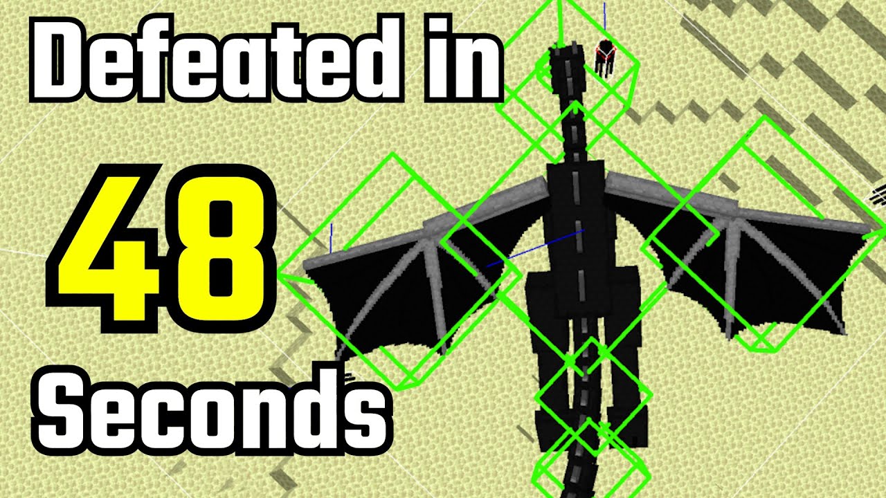 How Speedrunners SOLVED the End Fight