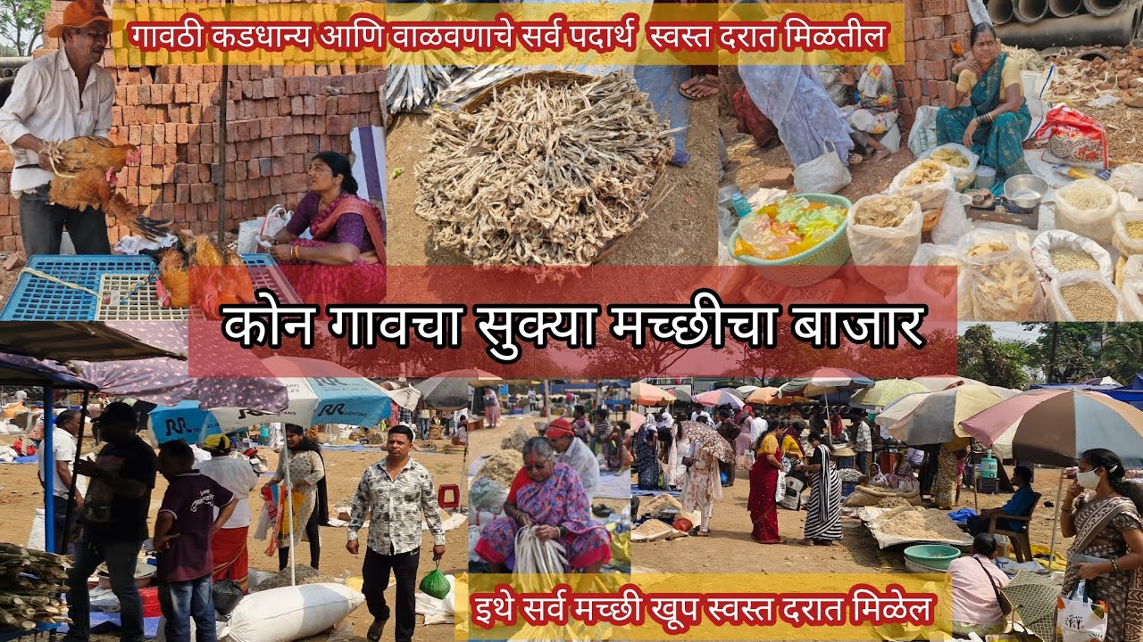 सुकी मच्छी चा बाजार,  #machchimarket #aagarikoli #viral #trending 