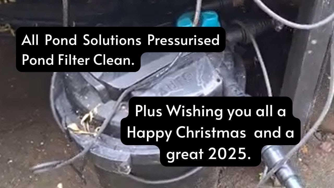 All Pond Solutions Pressurised Pond Filter Clean