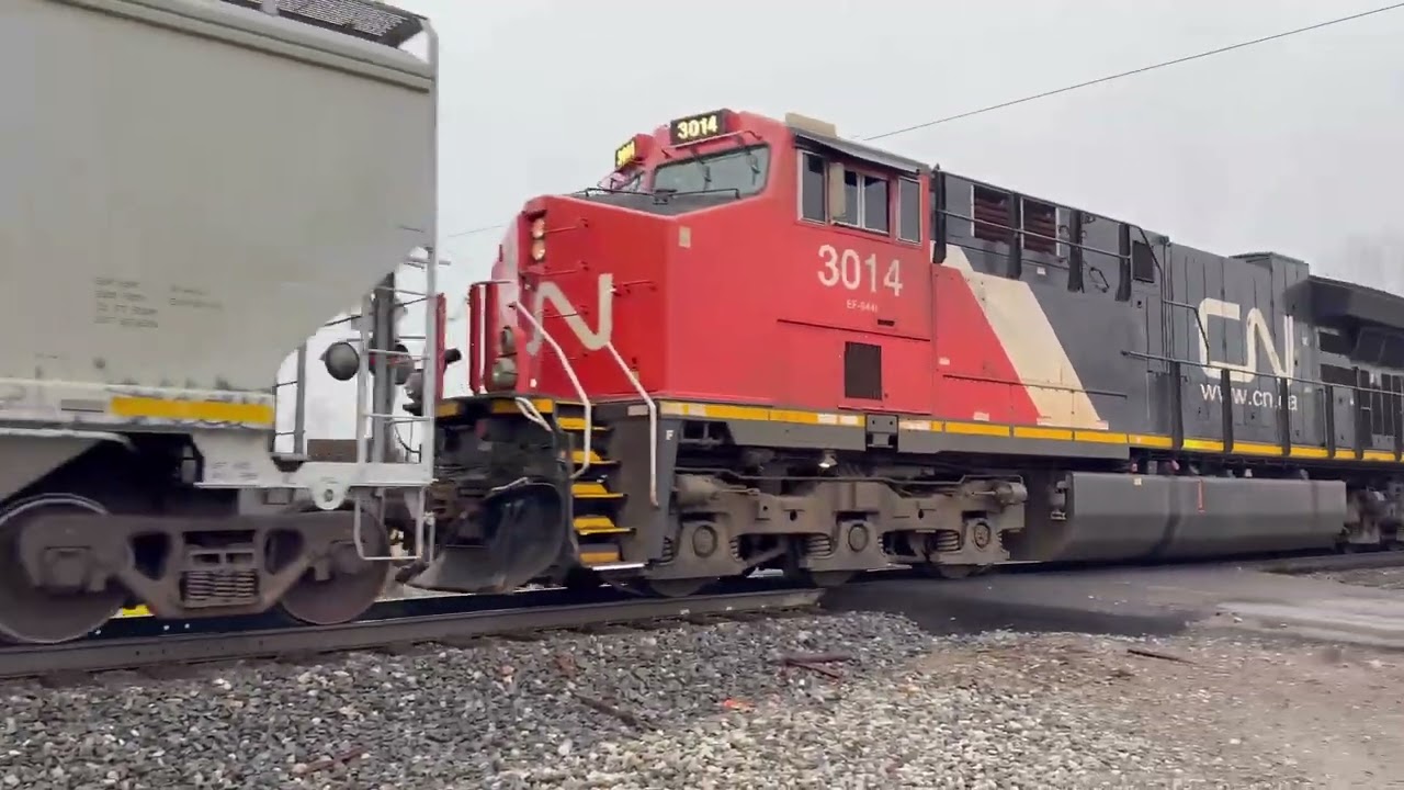 Norfolk Southern 302 with a United Nations type locomotive consist 