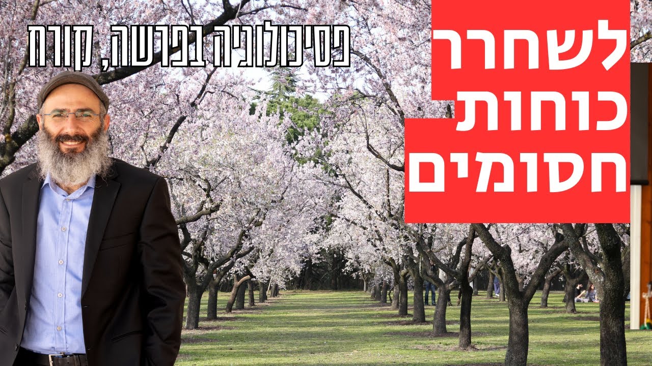 איך לשחרר כוחות חסומים | פסיכולוגיה בפרשה, קרח