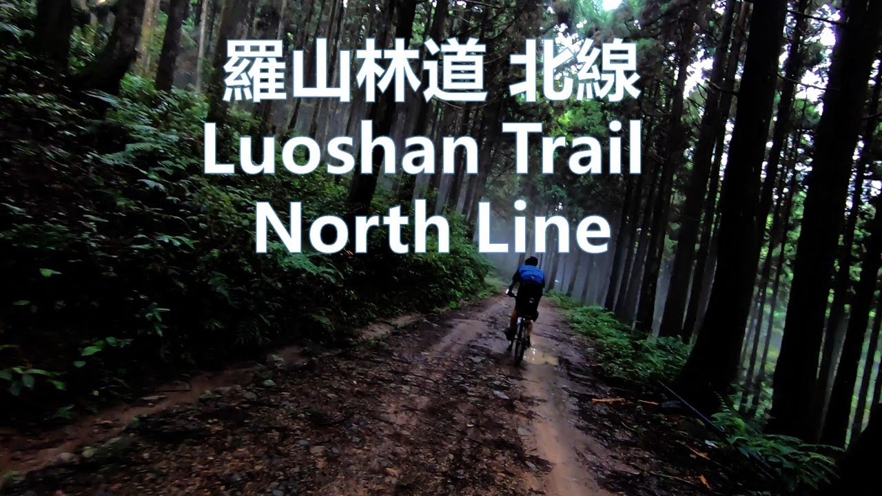 新竹 五峰 羅山林道北線 登山車 Hsinchu Luoshan Trail North Line.