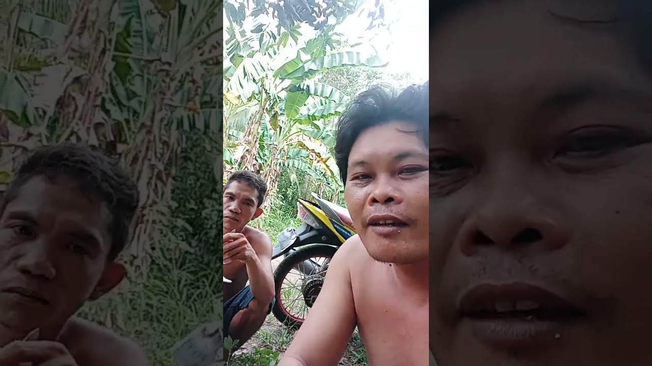 tropang spray.man ug mangga