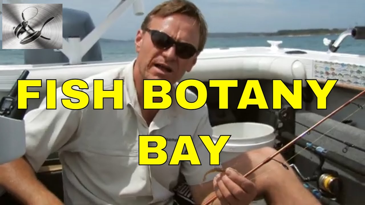 Botany Bay where it all started #crabs #flathead and of course #trevally