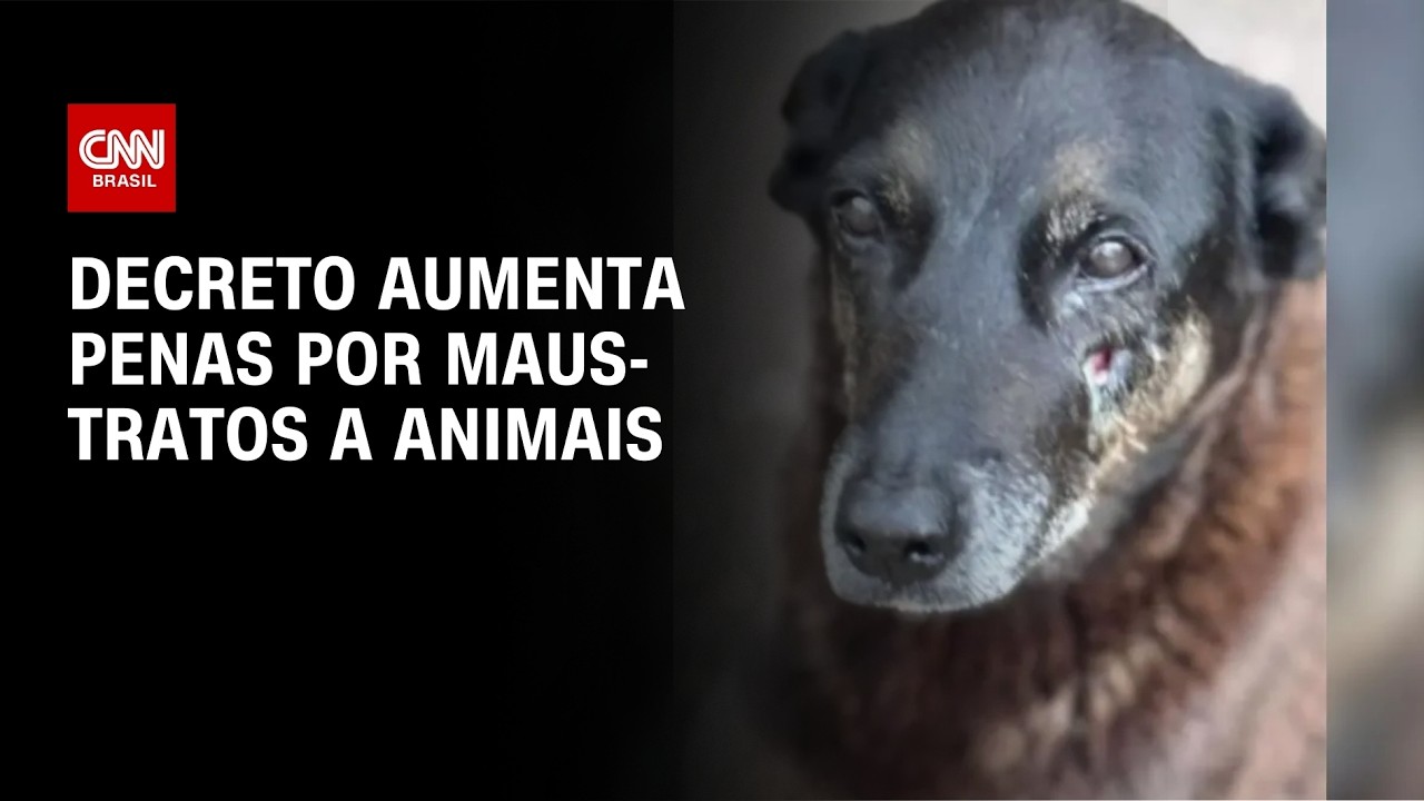 Governo anuncia decreto C&atilde;o Orelha, que aumenta penas para maus-tratos | CNN NOVO DIA