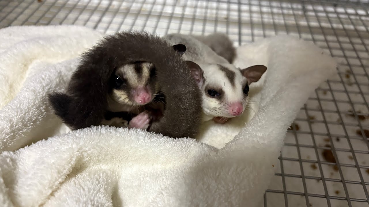 寄り添う2人