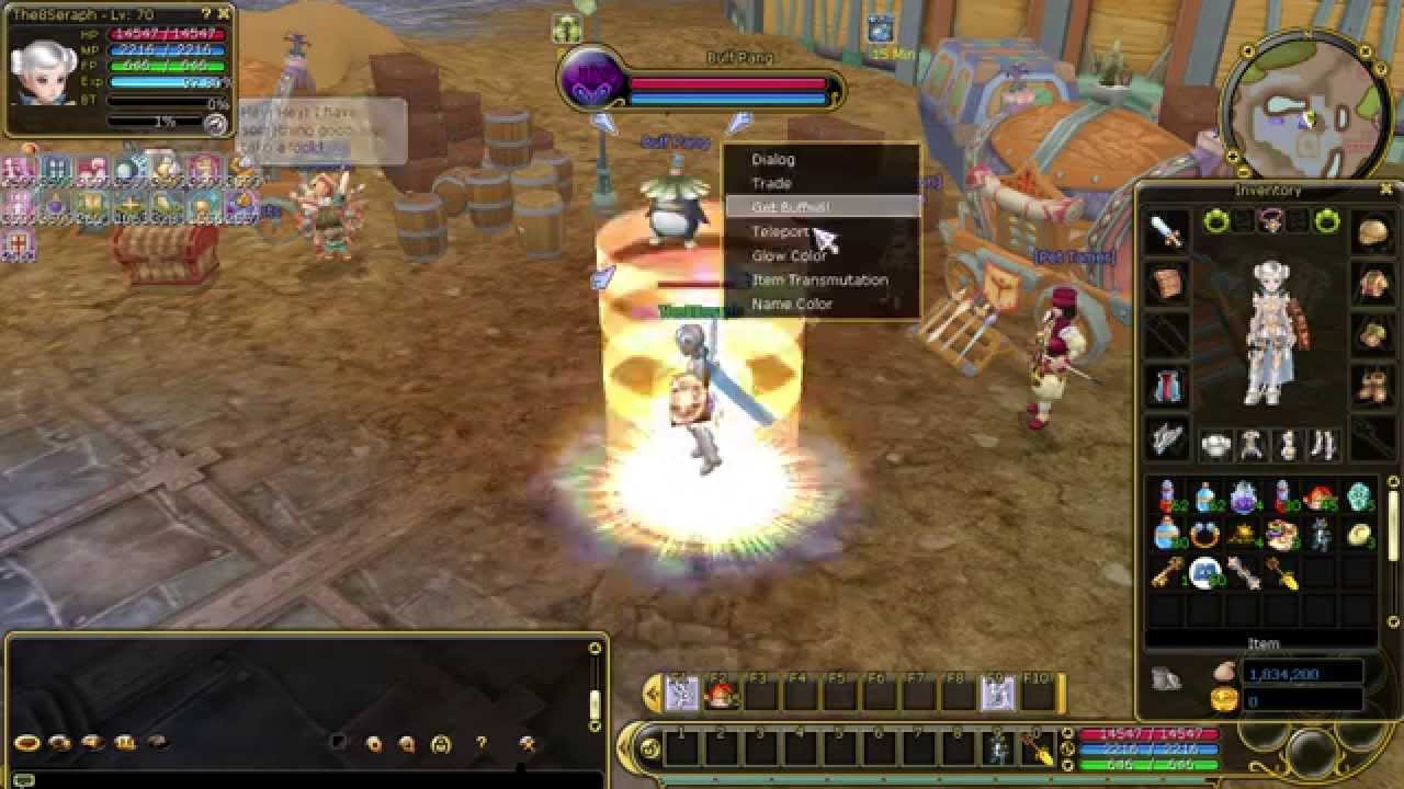 Insanity Flyff E1 - Seraph lvl 1-120