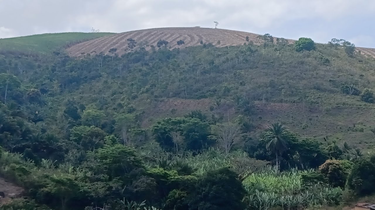 Vende se esse sítio no Engenho Sumidorinho zona rural Palmares 200.000 (081)996309085