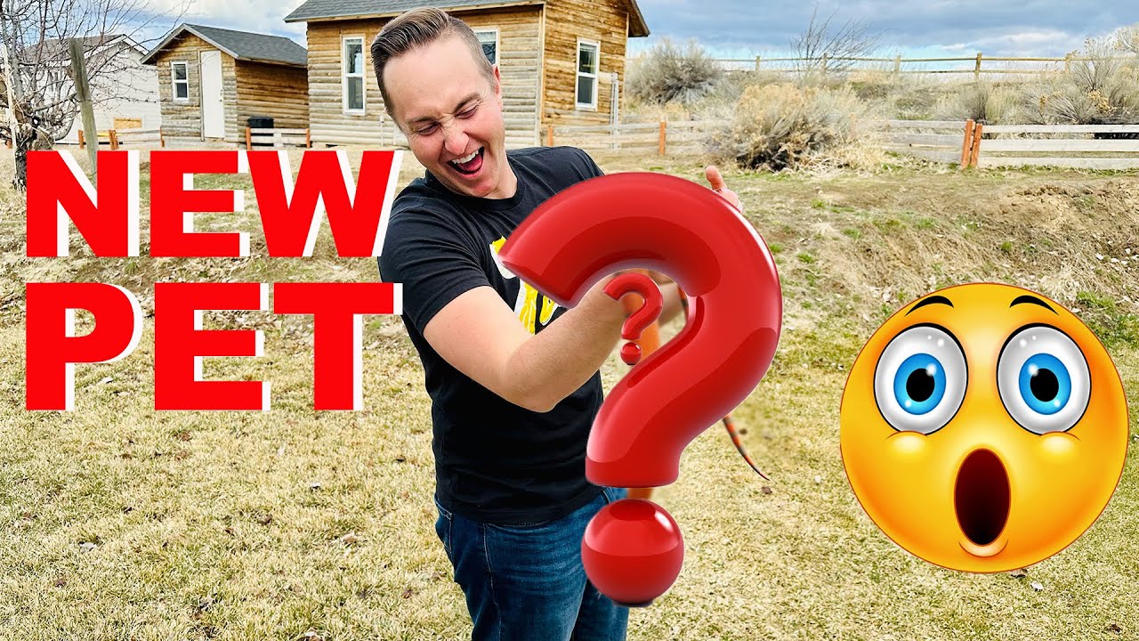 Surprise Reveal: You'll Never Guess What Snake I Brought Home!