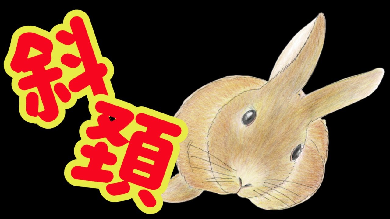 救急疾患！うさぎの斜頚【うさぎの首が傾いた!?】#23　うさぎの病気 Vol.9
