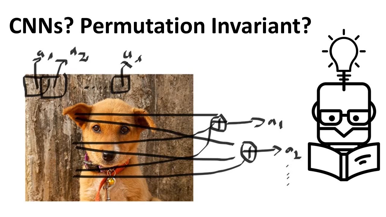 Why Convolutional Neural Networks Are Not Permuation Invariant