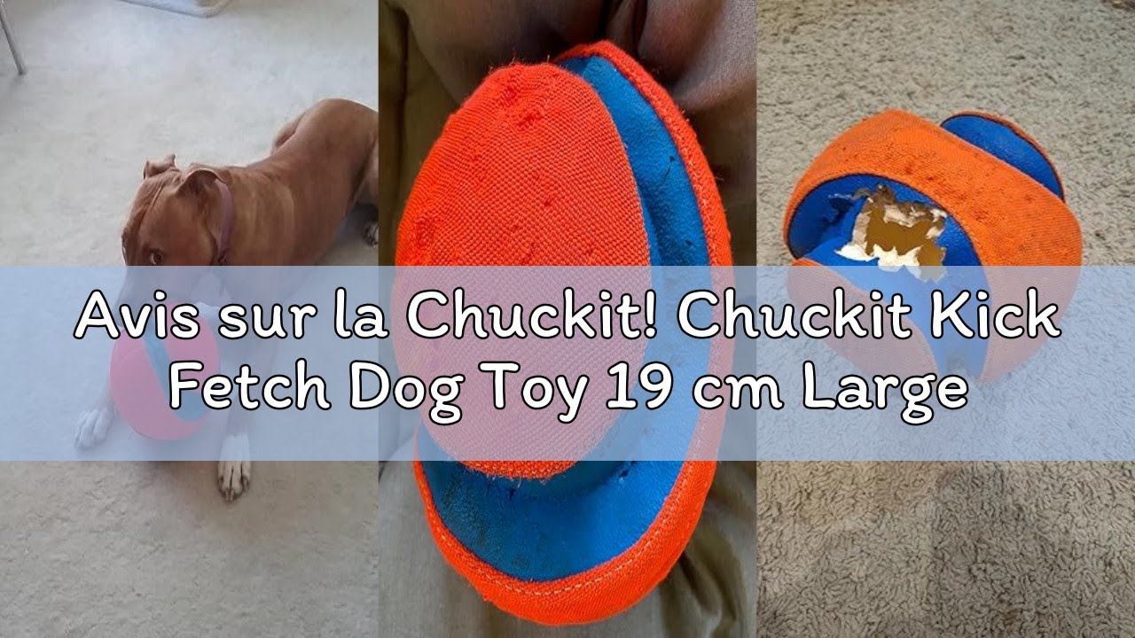 Avis sur la Chuckit! Chuckit Kick Fetch Dog Toy 19 cm Large
