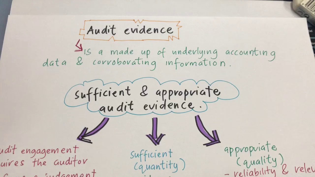 Audit Planning & Fieldwork (AUD339)