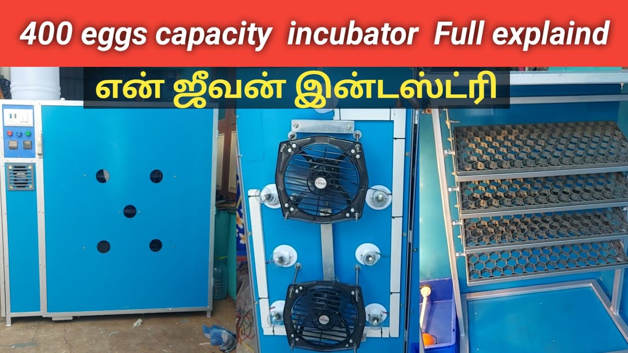 🐣 400 eggs 🐣 capacity incubator  Review | EN jeevan industry | தமிழில்