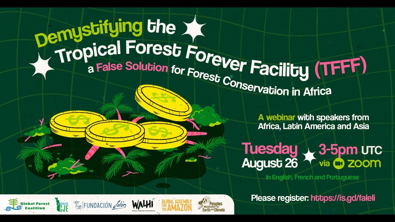 Demystifying the TFFF: A False Solution for Forest Conservation in Africa