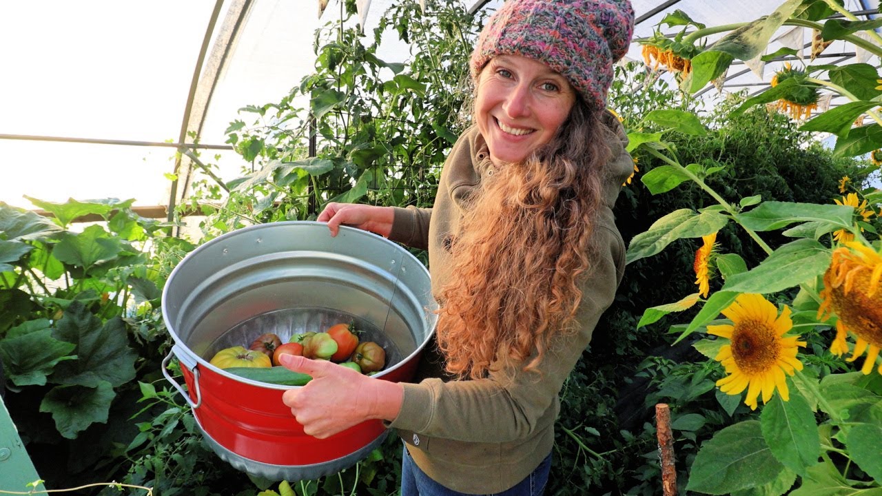 You’ll Never Buy Tomato Soup Again After This Recipe