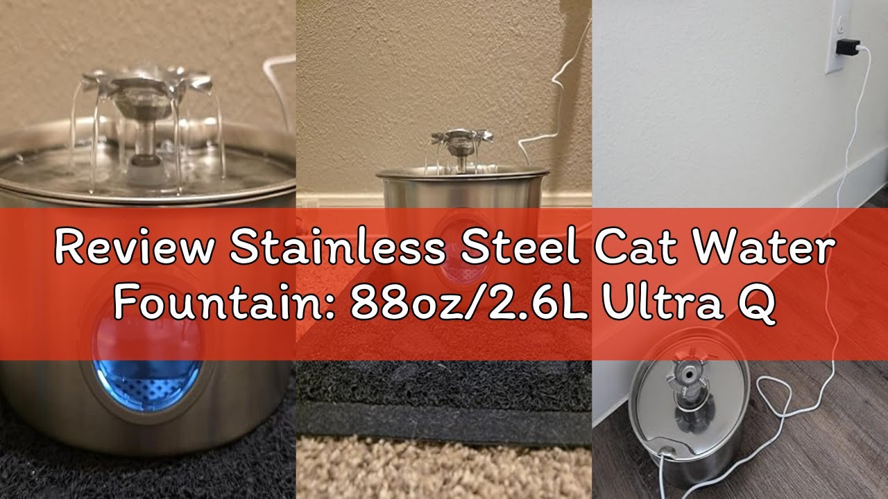 Review Stainless Steel Cat Water Fountain: 88oz/2.6L Ultra Quiet Pet Fountain with Flower Kitty Spou