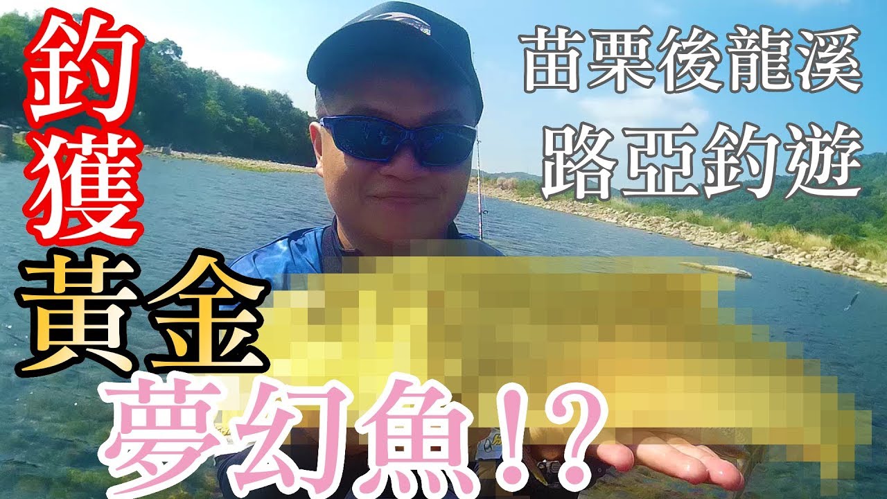 【路亞】釣獲！後龍溪路亞夢幻魚！？ FT.寶島漁很大 阿克 捲仔/溪哥/馬口魚/前打/落入/磯釣
