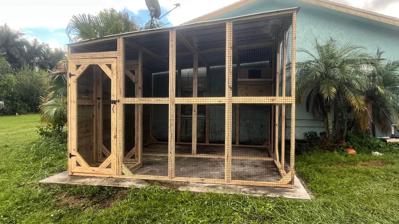 Building a 12’x12’ falcon aviary , custom bird enclosure @CoopsByJoe Coops By Joe