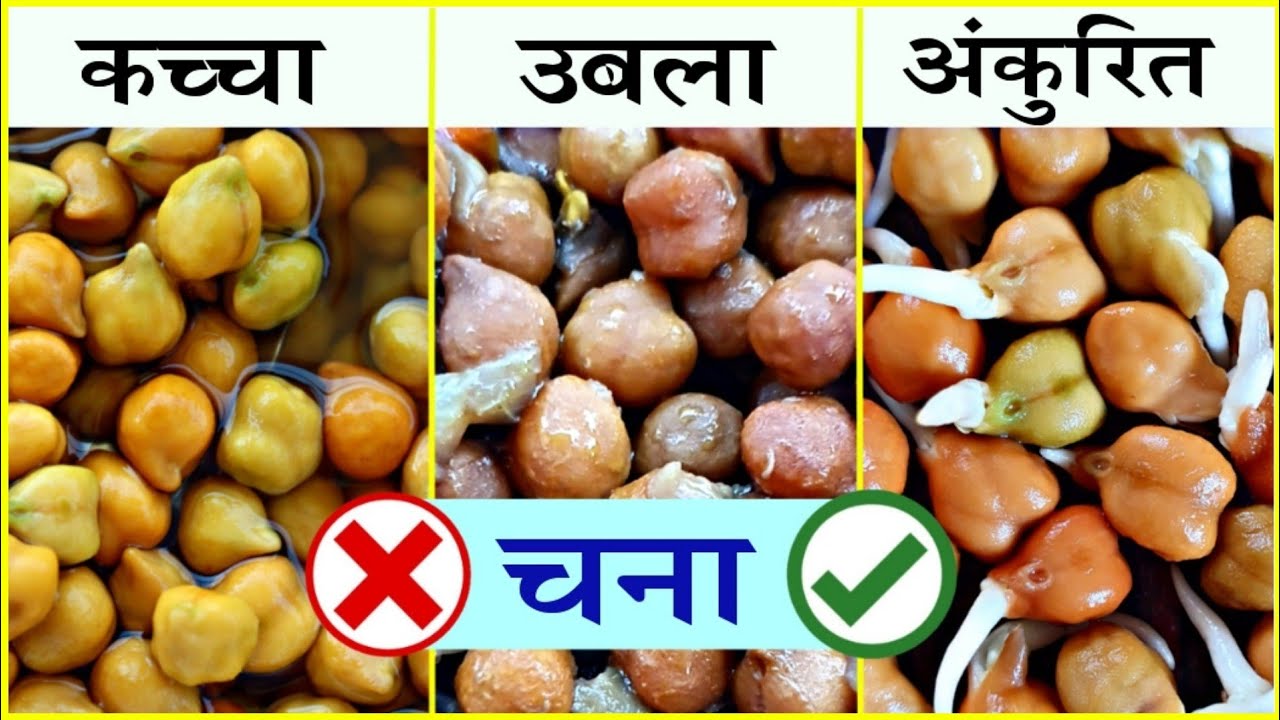 कच्चा चना खाने वाले जरूर देखें | चना कच्चा उबला या अंकुरित कर के खाना चाहिए | Chana khane ke fayde