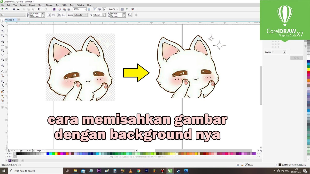 Cara Menghilangkan / Menghapus Background Pada Corel Draw