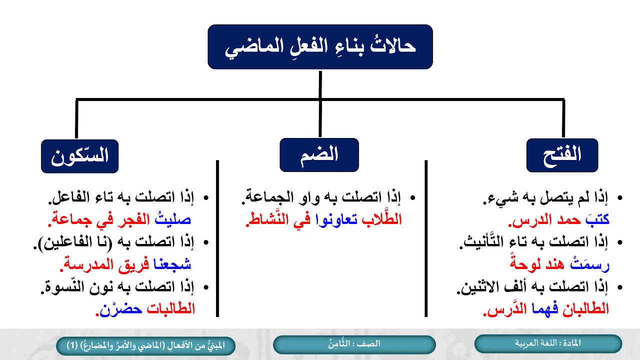 الصف الثامن   اللغة العربية   النحو  المبني من الأفعال   الماضي  والأمر والمضارع     ج1