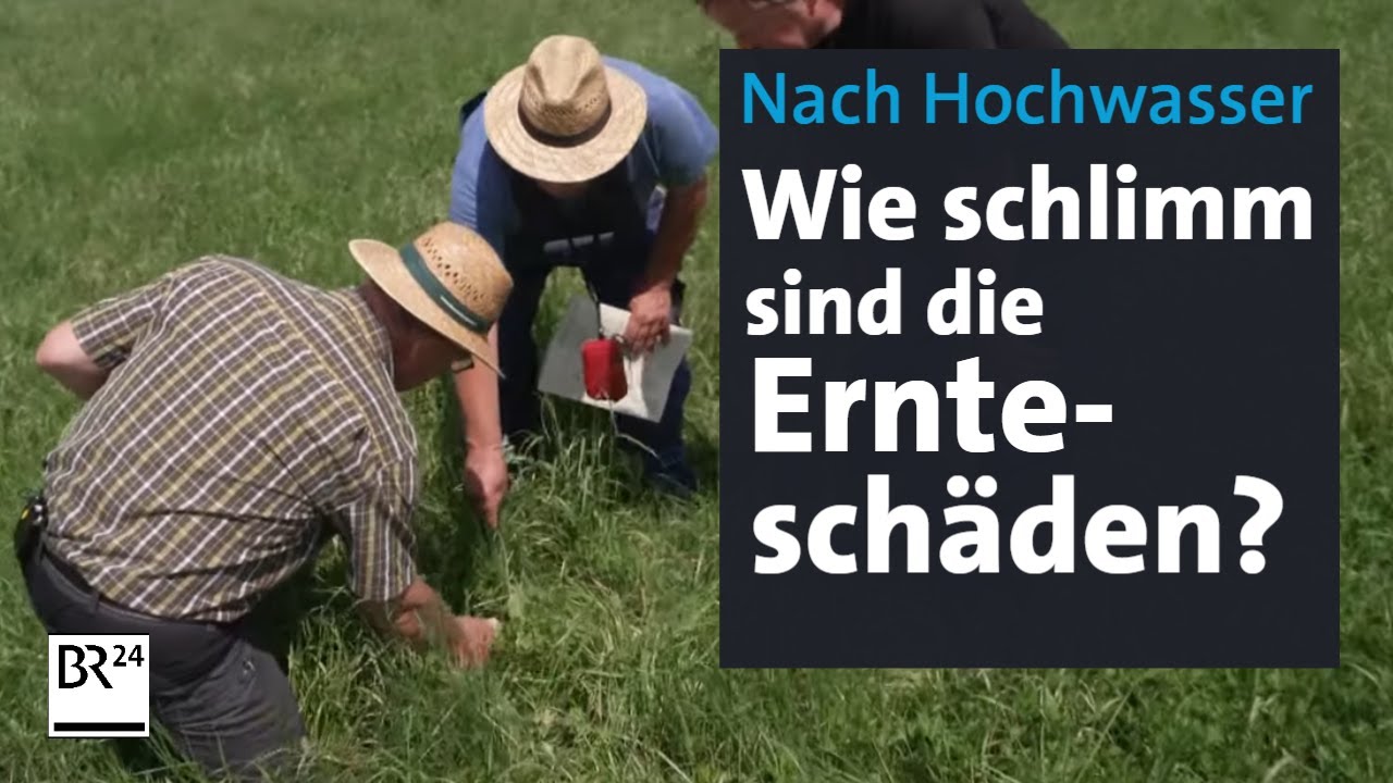 Hochwasser: Wie schlimm sind die Ernteschäden? | Abendschau | BR24