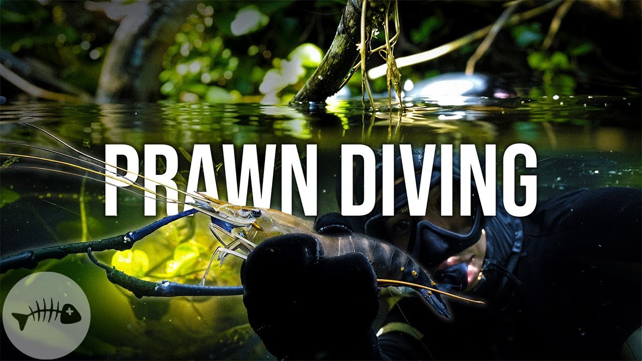 Diving For Freshwater Prawns Deep In A Jungle River