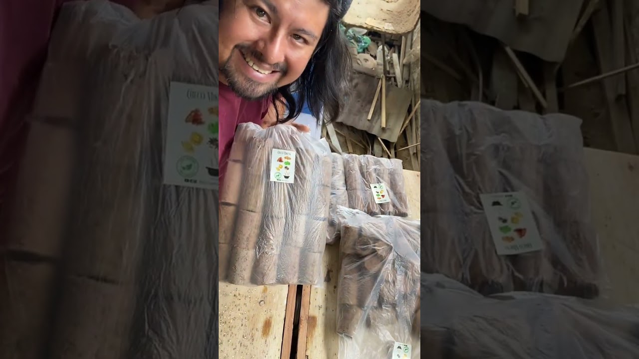 Briquetas de papel reciclado y aserrin