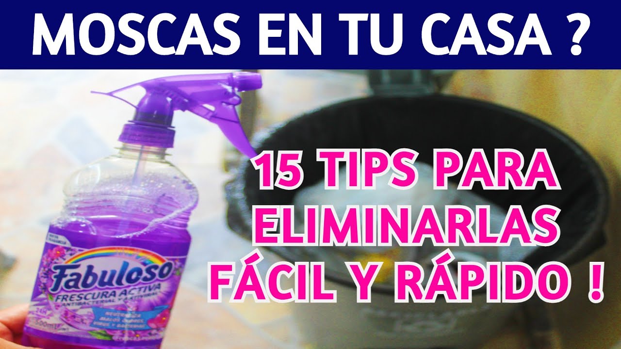 🌺 Cómo eliminar LAS MOSCAS DE TU CASA para siempre / 15 TIPS para ELIMINAR LAS MOSCAS !