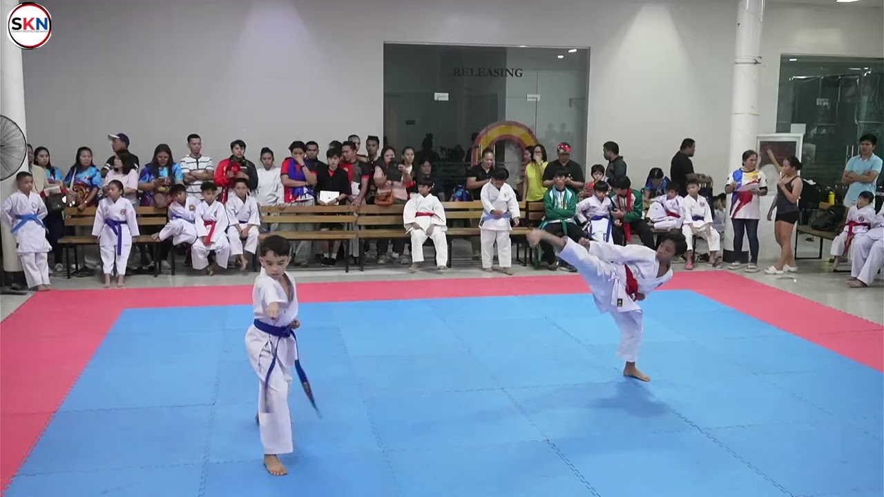 T3 Kata   Match 22   2026 Pacific Mall Mandaue Karate Tournament