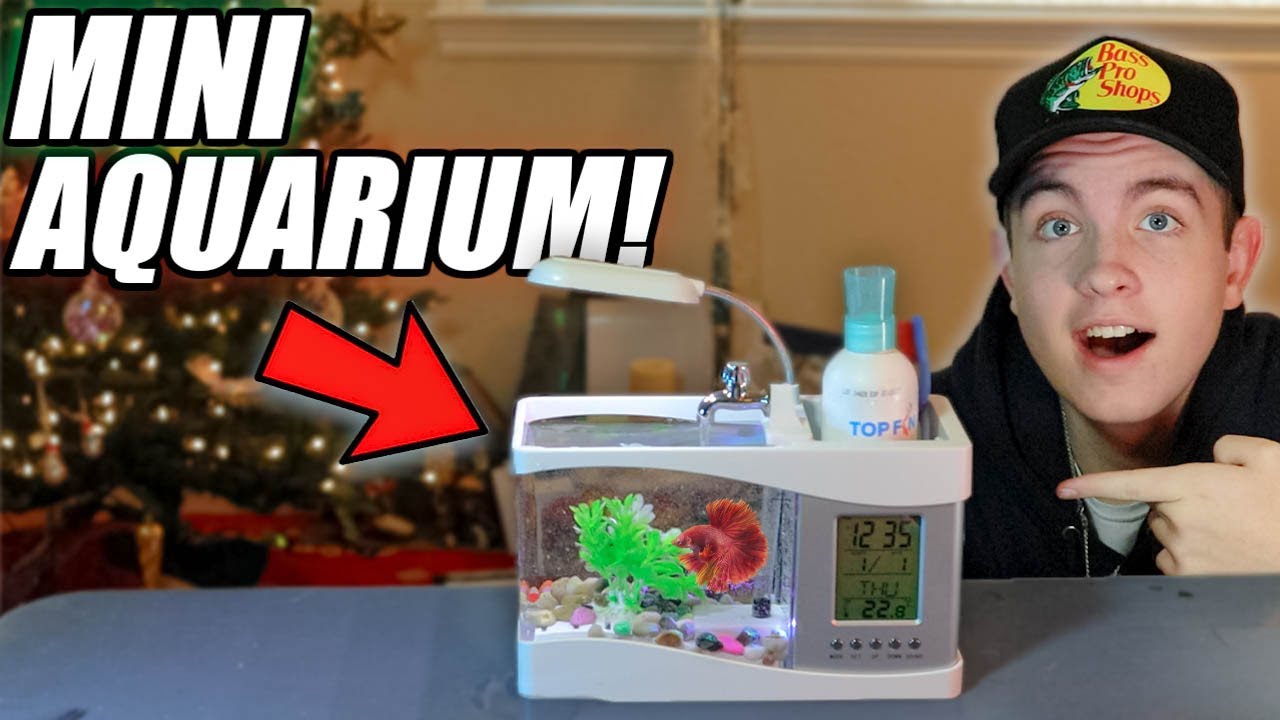 My USB Desktop Mini Fish Tank Aquarium!!