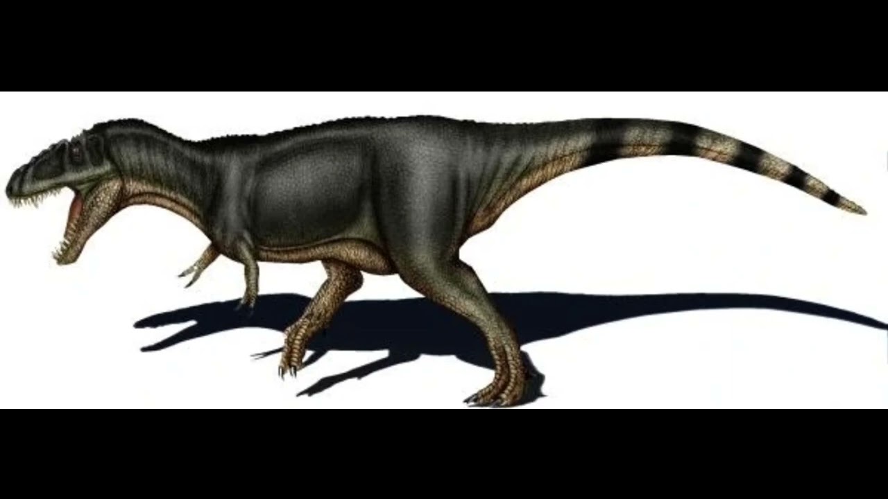 dinopedia:Labocania