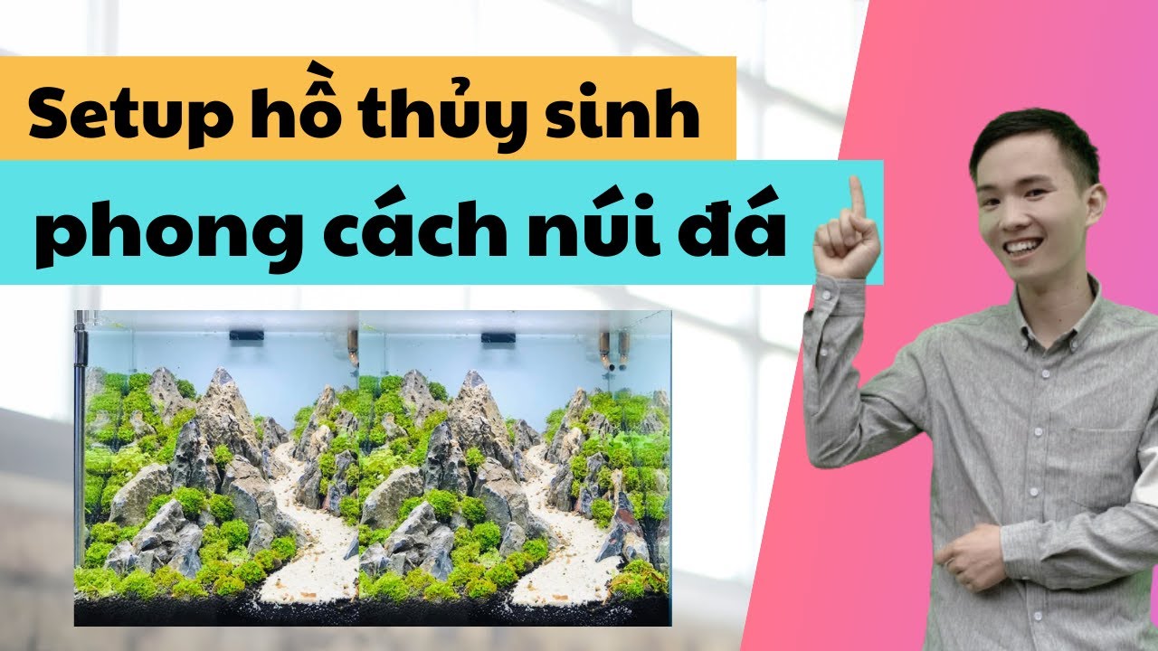 Setup bể thủy sinh mini núi đá | Nguyễn Du Aqua