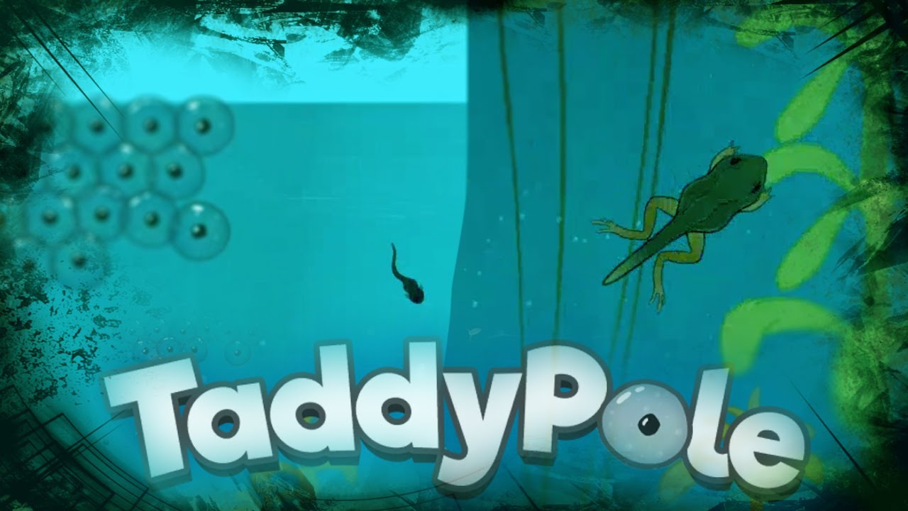 Eat and Grow! || Taddypole Gameplay/Game-review