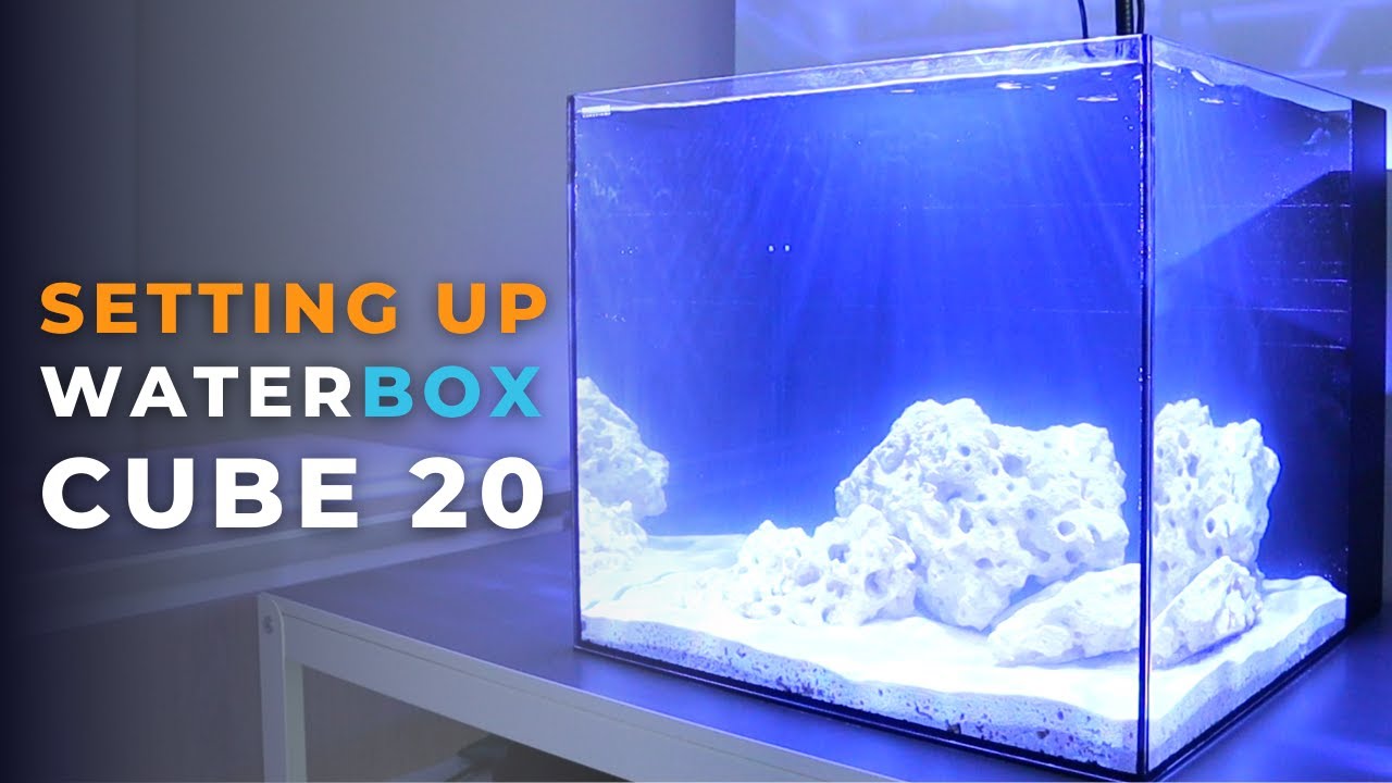 Unboxing & Setting Up Waterbox Cube 20 Aquarium | Blue Reef Tank